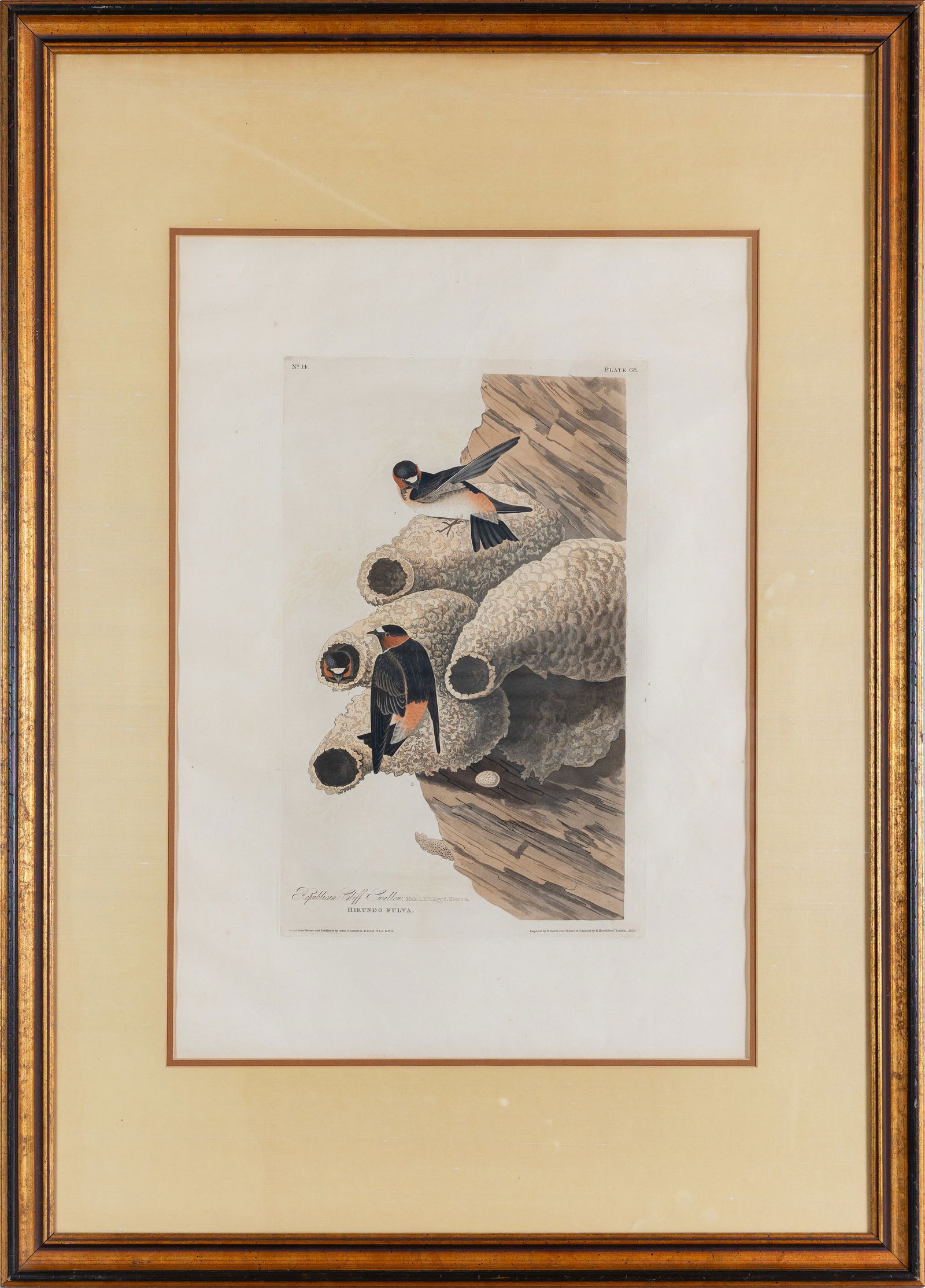 AN AUDUBON HAND COLORED AQUATINT OF THE REPUBLICAN CLIFF SWALLOW: AN AUDUBON HAND COLORED AQUATINT OF THE REPUBLICAN CLIFF SWALLOW John James Audubon (American, 1785-1851) Republican Cliff Swallow hand-colored aquatint with engraving Plate 68 from The Birds of Ameri