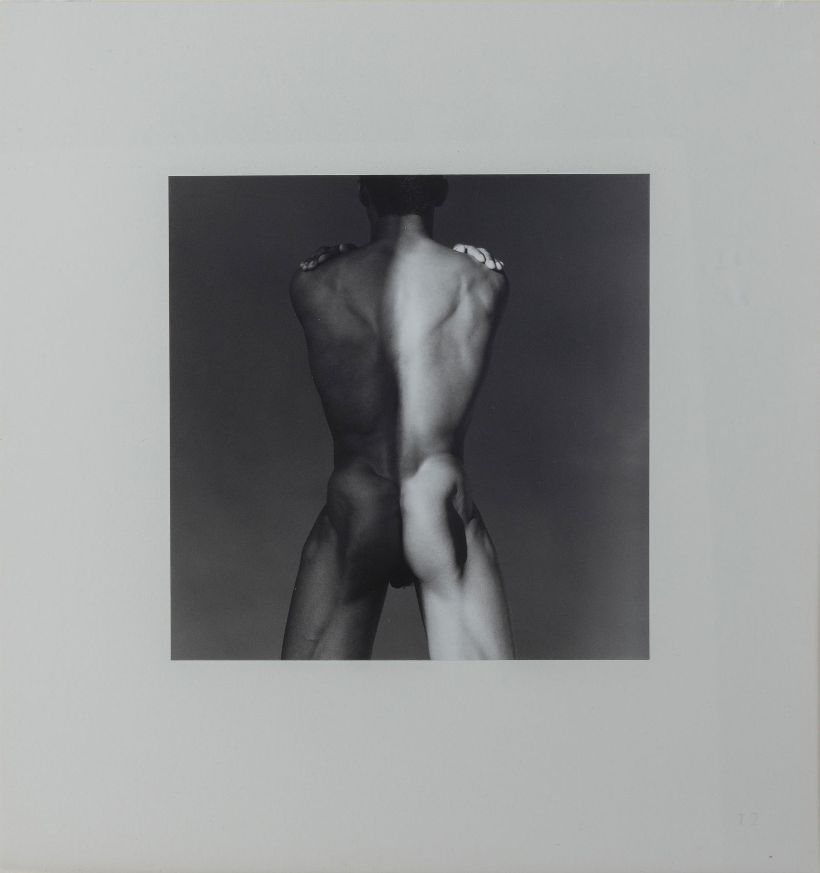 ROBERT MAPPLETHORPE (AMERICAN 1946-1989): ROBERT MAPPLETHORPE (AMERICAN 1946-1989) "Dan S." from the Z Portfolio, 1980 gelatin silver print in unique presentation 34.29 x 34.29 cm (13 1/2 x 13 1/2 in.) [sheet size] framed dimensions: 43 x 41