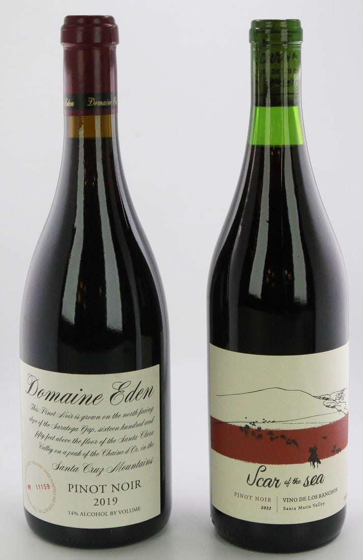 Lot of 2 Pinot Noir Wines/Domaine Eden 2019 & Scar of the Sea 2022 (1 of 6)