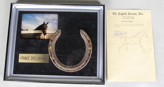 Prince Spellbound Framed Horseshoe with Certificate