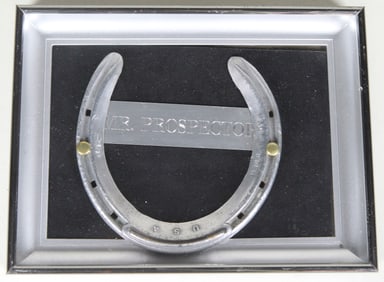 Framed Horseshoe of Mr. Prospector