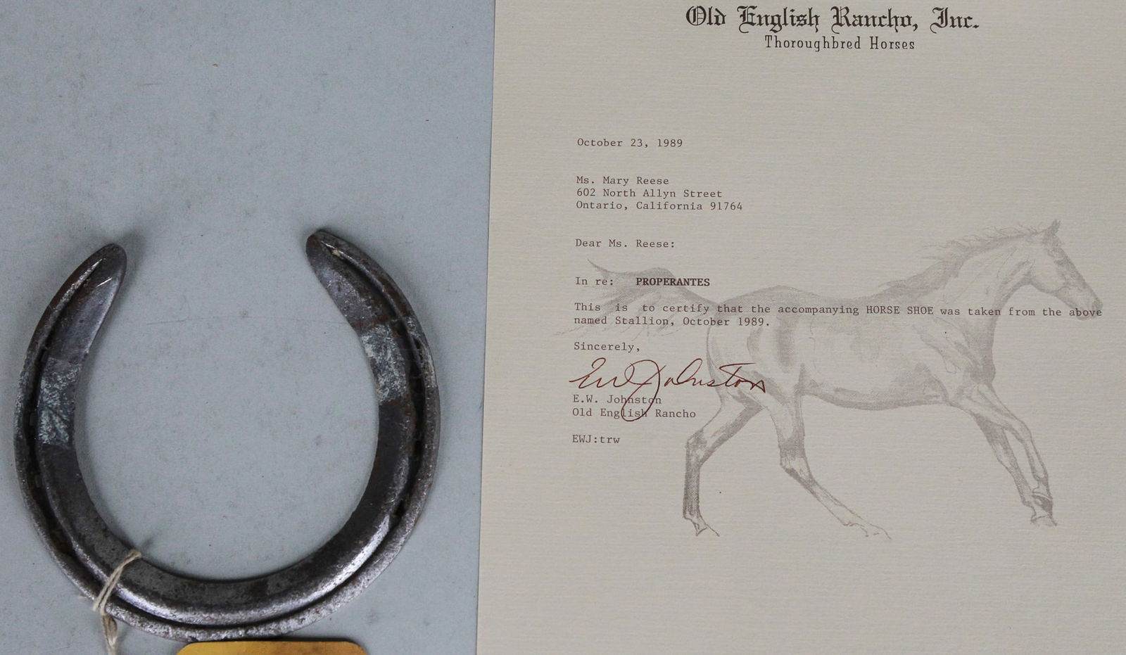 Properantes Worn Horseshoe with Signed Certificate (1 of 5)