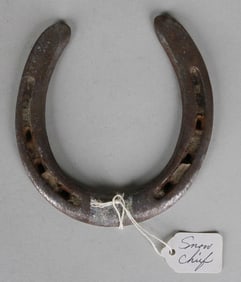 Snow Chief Worn Horseshoe