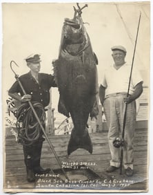 1939 Photograph of Record Black Sea Bass Catch, Santa Catalina