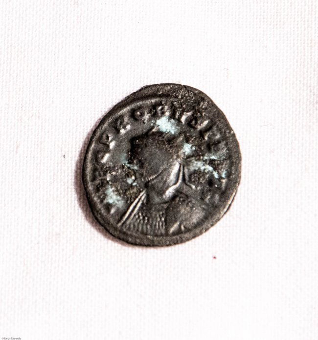 Probus AE antoninianus PAX AVG Roman Coin (1 of 2)