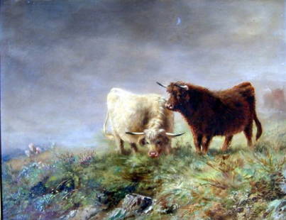 Robert Muller (19th C.) Highland cattle, 16 x 20: Robert Muller (19th C.) oil on canvas, Highland cattle, signed, 16 x 20 ins.