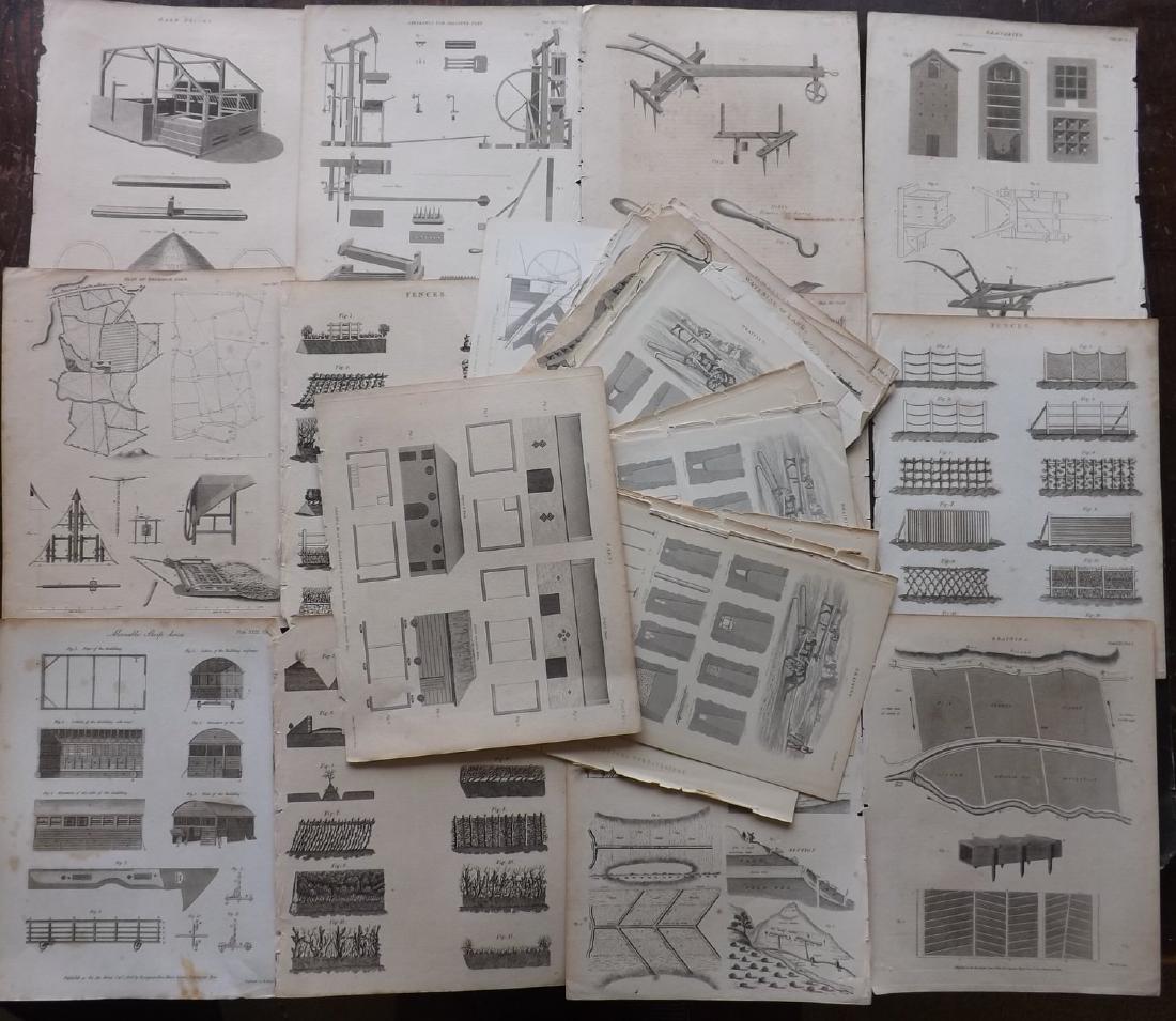 Agriculture, Farming 19th Cent Lot of 42 Prints (1 of 3)