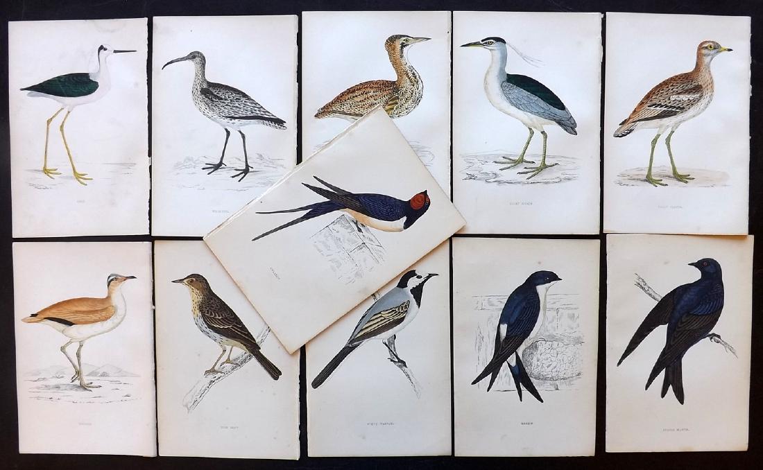 Morris, Francis Orpen 1867 Lot of 11 HCol Bird Prints: Woodblock Published 1863-67, London for "A History of British Birds" by the Rev. F. O. Morris. Printed in colours and finished by Benjamin Fawcett. Paper Size: 7.5 x 5 inch (19 x 14cm) Good condition