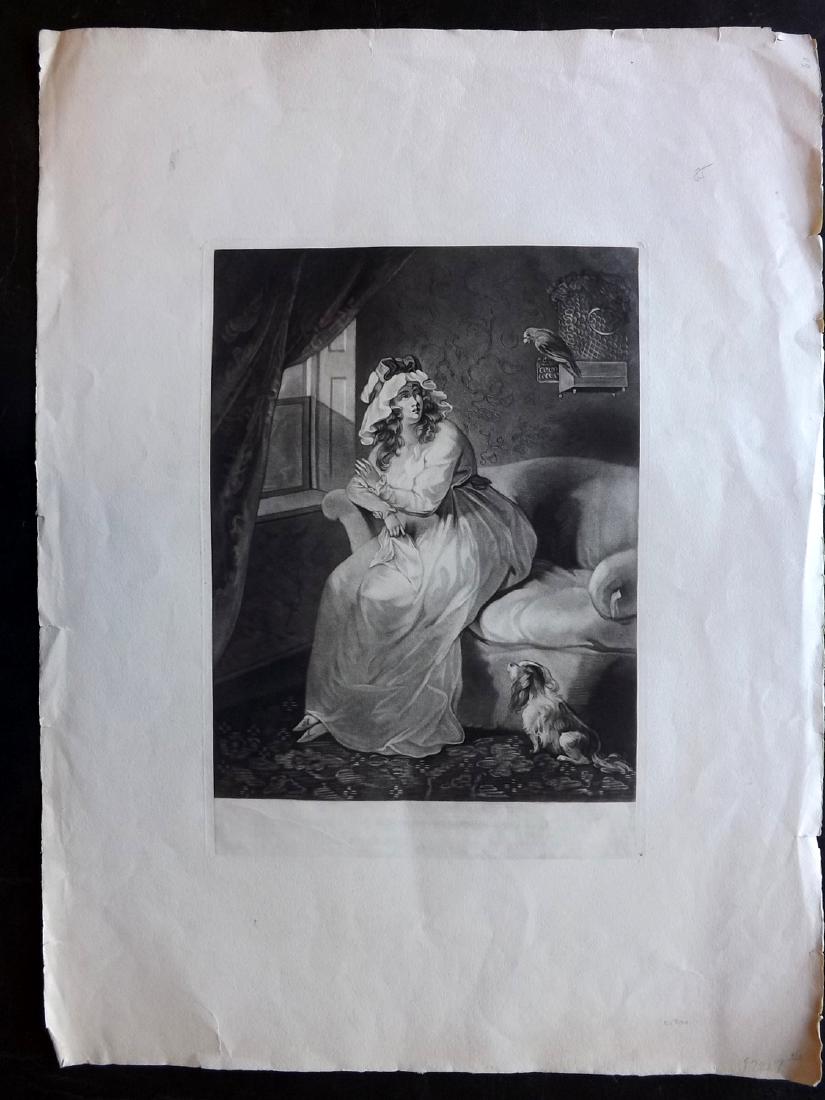 Anon C1903 LG Mezzotint. Pretty Lady with Parrot & Dog: Mezzotint Published C1903, London. Unknown Artist and Engraver, in the manner of Joshua Reynolds. Proof before letters. On Julia Frankau watermarked paper, 1903. Paper Size: 24 x 18 inch (60 x 46cm) A