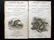 Mixed Prints 19th Century Lot of 50 - 2