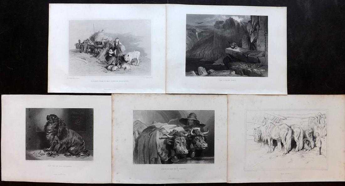 Landseer, Edwin 1880 Lot of 5 Folio Animal Prints (1 of 2)