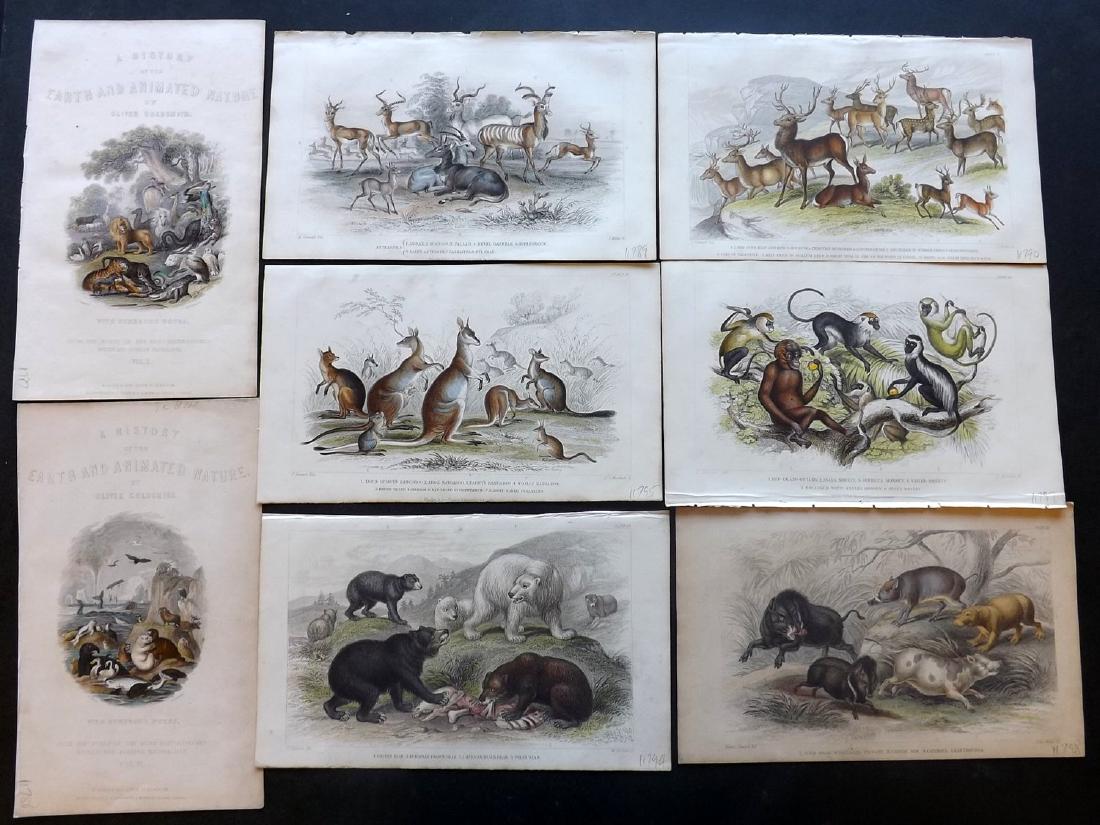 Goldsmith, Oliver 1857 Lot of 13 HC Nat. Hist. Prints (1 of 2)