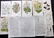 Mixed Prints 19th Century Lot of 40 - 3