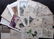 Mixed Prints 19th Century Lot of 65