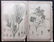Mixed Prints 19th Century Lot of 65 - 3