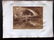 Mixed Prints 19th Century Lot of 65 - 5