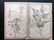 Mixed Prints 19th Century Lot of 65 - 6
