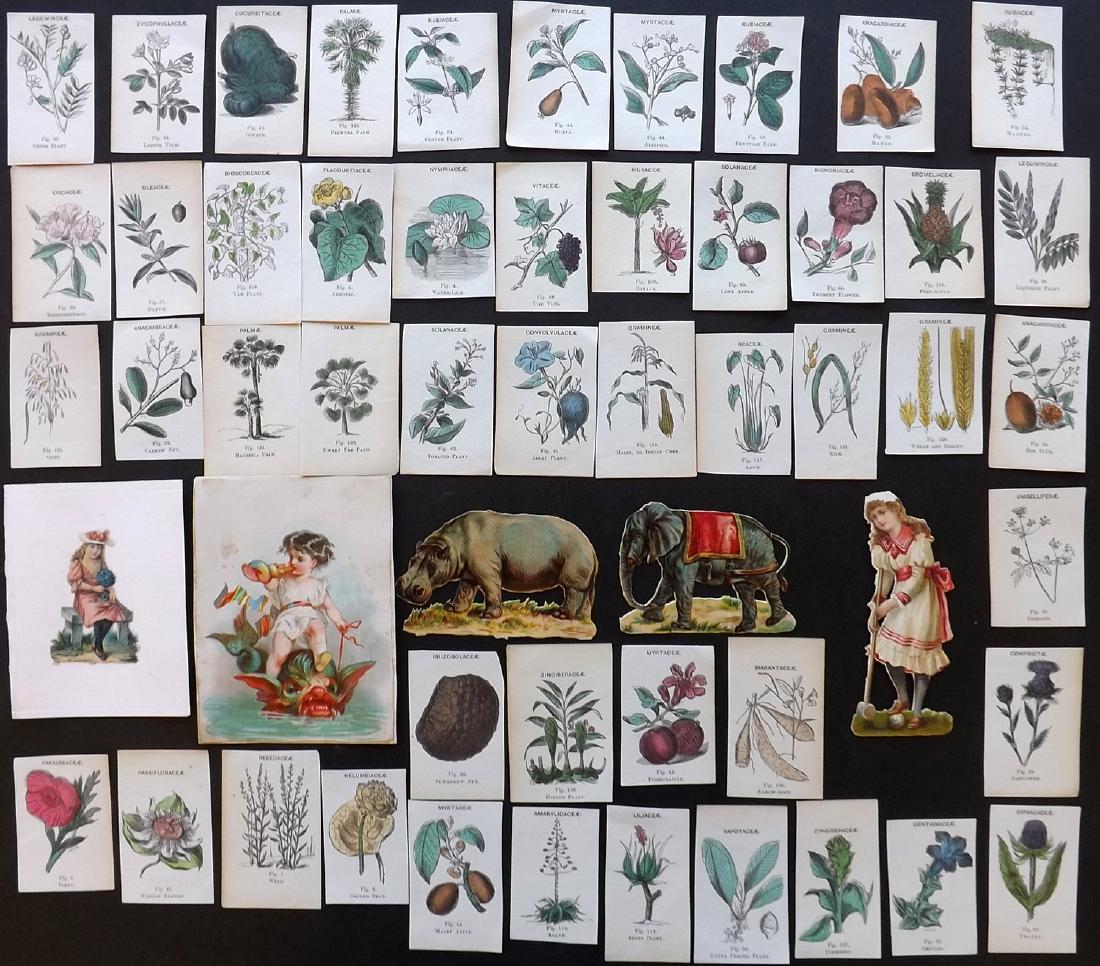 Miniature Prints & Chromo Scraps 19th C. Lot of 53 (1 of 4)