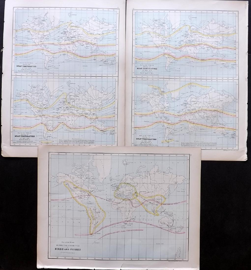 Bryce, James 1881 Lot 3 Maps World. Temperature, Birds (1 of 2)
