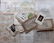 Mixed Prints 19th Century Lot of 50. Botanical etc