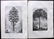 Mixed Prints 19th Century Lot of 50. Botanical etc - 8