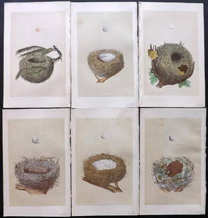 Morris, Francis 1864 Lot of 6 Bird Nest Prints: Woodblocks Published 1863-64, London for "A Natural History of the Nests and Eggs of British Birds" By the Rev. F. O. Morris, printed Benjamin Fawcett. Printed in colours and finished by hand. With ac