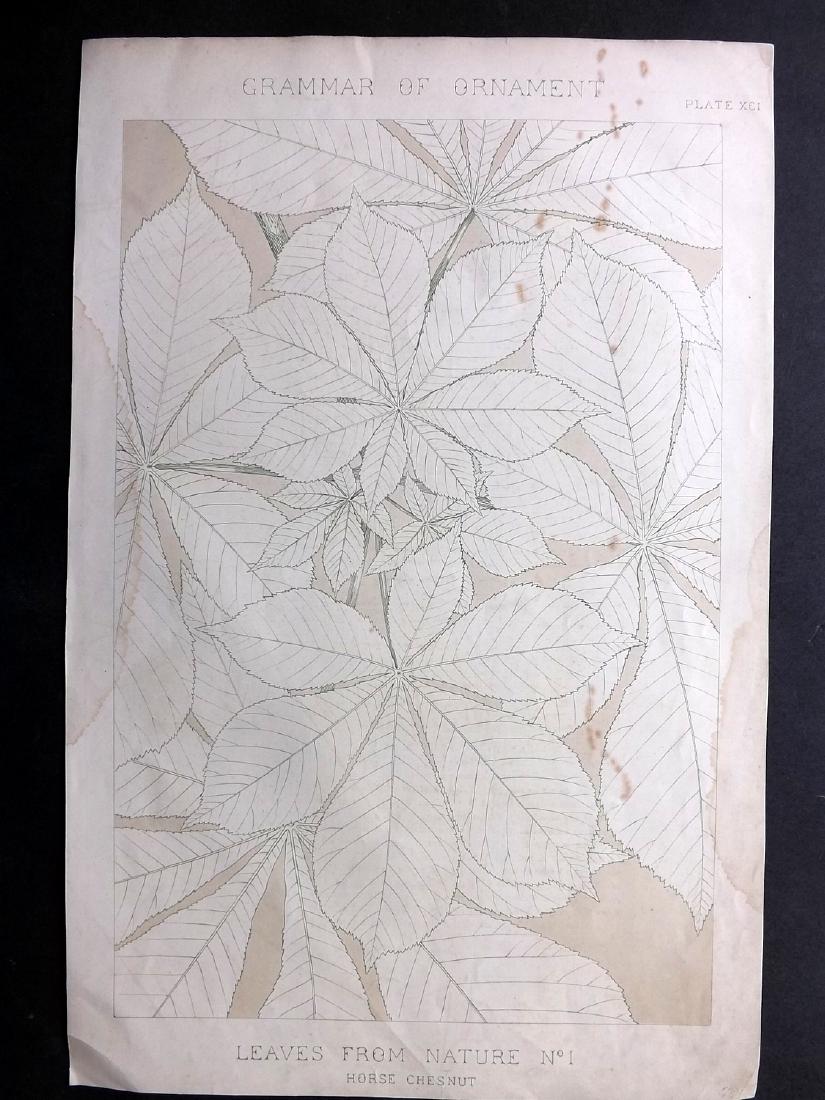 Jones, Owen 1856 LG Botanical Design Print No. 1: Large Folio Chromolithograph Published 1856 by Day & Son, London for "The Grammar of Ornament" by Owen Jones. First and best Edition of this work. Paper Size: 21 x 14 inch (54 x 35cm) Some tone spotti
