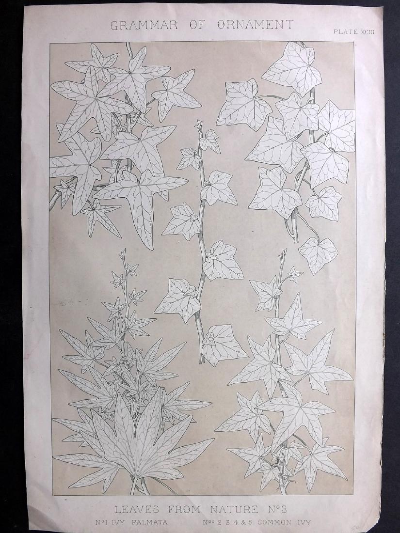 Jones, Owen 1856 LG Botanical Design Print No. 3: Large Folio Chromolithograph Published 1856 by Day & Son, London for "The Grammar of Ornament" by Owen Jones. First and best Edition of this work. Paper Size: 21 x 14 inch (54 x 35cm) Minor water stai