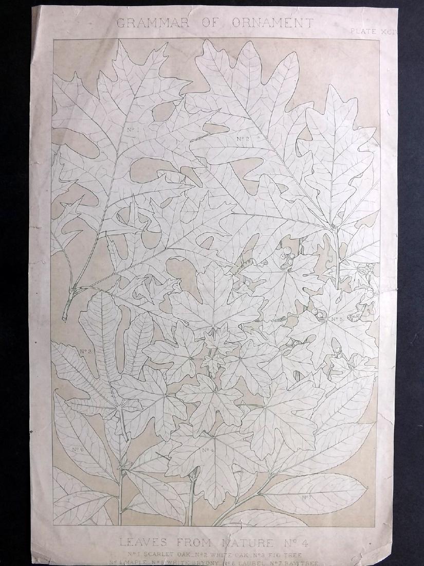 Jones, Owen 1856 LG Botanical Design Print No. 4 (1 of 2)