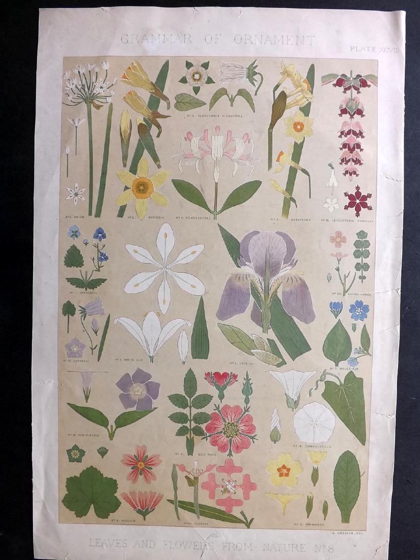 Jones, Owen 1856 LG Botanical Design Print No. 8 Iris (1 of 2)