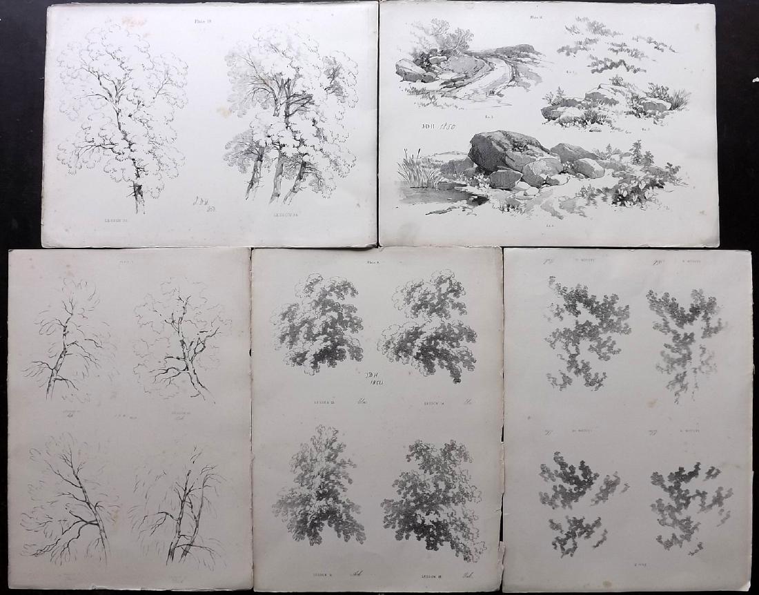 Harding, J. D. 1852 Lot of 5 Prints. Trees: Folio Lithographs Published 1852, London for "Lessons on Trees" by J. D. Harding. Paper Size: 14.5 x 11 inch (37 x 28cm) Toning present