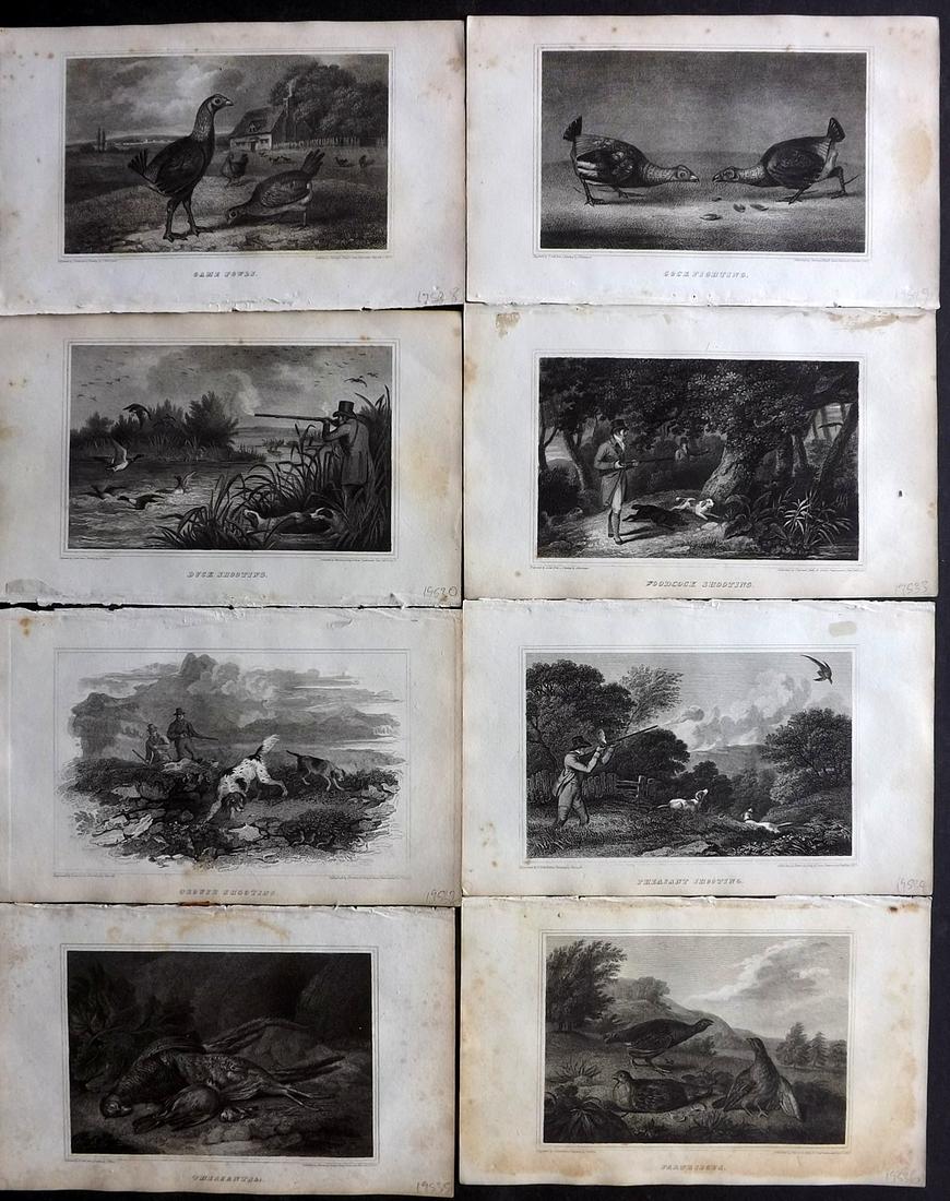 British Field Sports 1818 Lot 8 Bird & Shooting Prints (1 of 2)