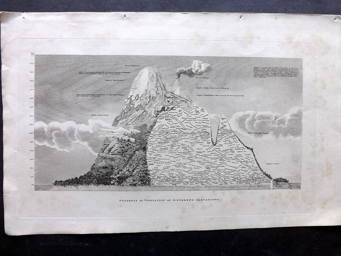 Phillips (Pub) 1823 Folio Print. Progress of Vegetation (1 of 2)