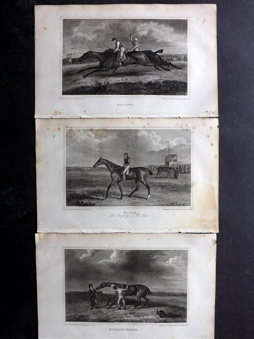British Field Sports 1818 Lot of 3 Horse Racing Prints (1 of 2)