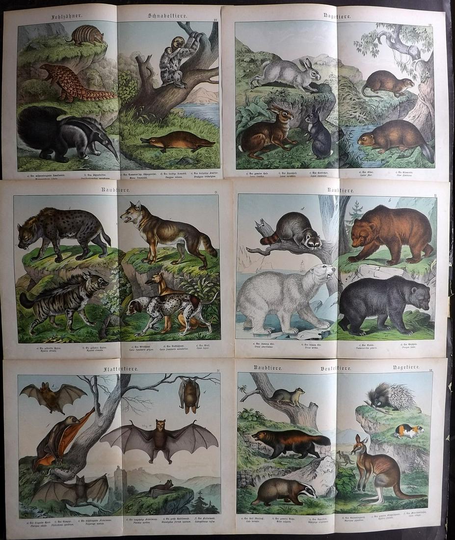 Schubert, Gotthilf 1880s Lot of 6 Large Prints (1 of 2)