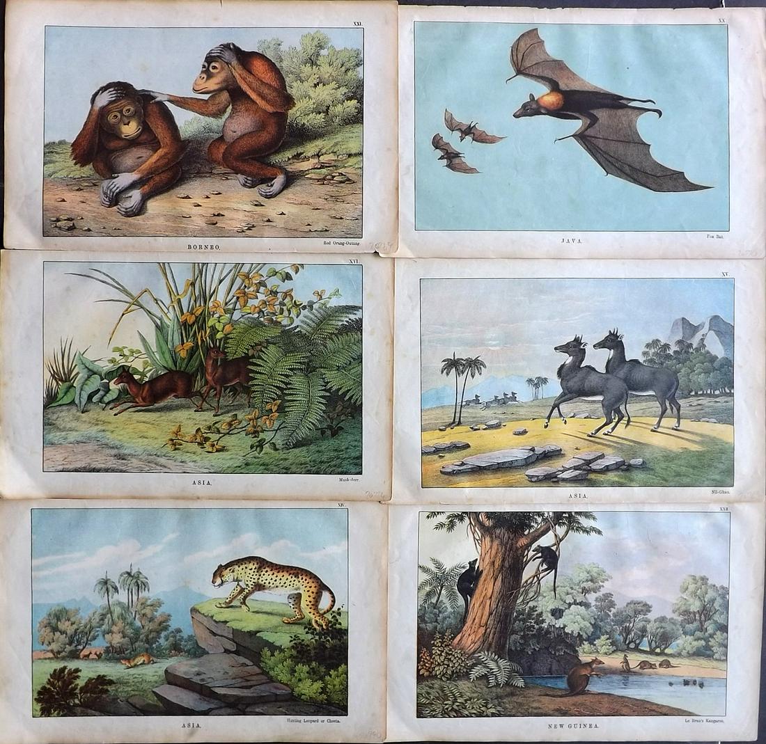White, Adam 1872 Lot of 6 Prints. Asia: Lithographs Published 1867-72, Edinburgh for "The Instructive Picture Book..." by Adam White. Printed in Colours and finished by hand. Paper Size: 13 x 8 inch (33 x 21cm) Minor toning in parts.
