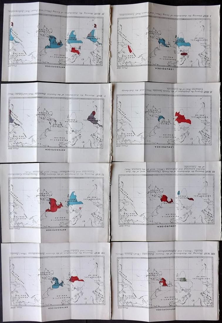Lloyd's 1897 Lot of 8 World Natural History Maps (1 of 2)