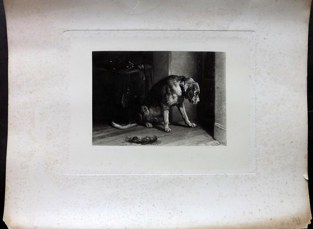 After Edwin Landseer C1850 Large Dog Print (1 of 2)