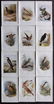 Swaysland, Walter 1901 Lot of 12 Bird Prints