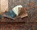 Marble End Papers, Bookbinding 19th Cent Lot of 37