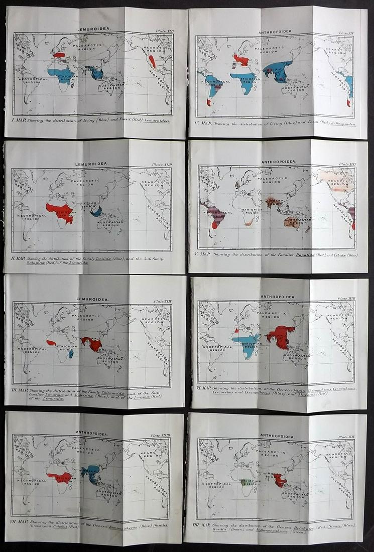 Lloyd's 1897 Lot of 8 World Natural History Maps (1 of 2)