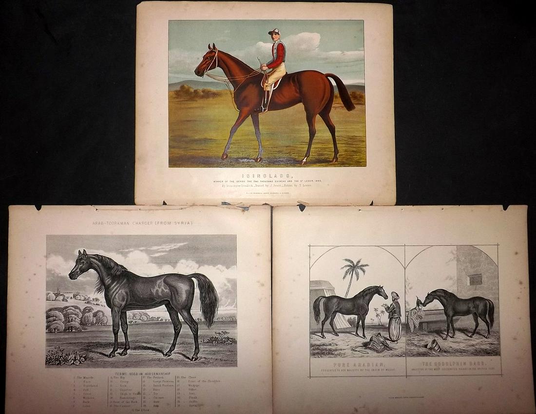 Miles, W. J. C1895 Lot of 3 Prints. Horse Racing etc (1 of 2)