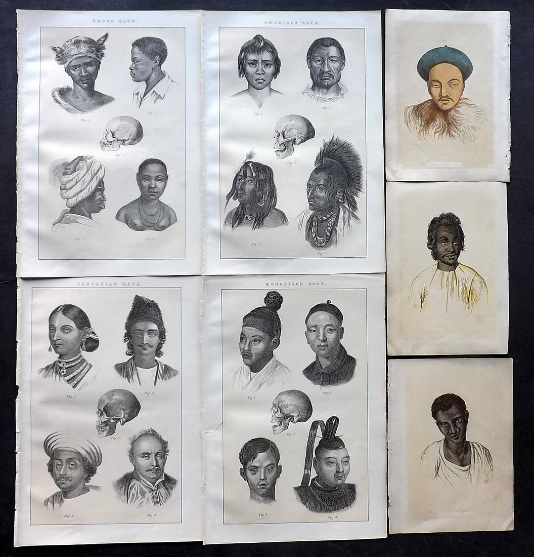 Ethnic 1851-86 Lot of 7 Prints by Cuvier & Bicknell: Incl Mongolian, Malay, Negro, Caucasian, and American. Woodblocks Published 1851, London for "The Natural History of the Sacred Scriptures" by W. I. Bicknell and Lithographs Published 1886, London for
