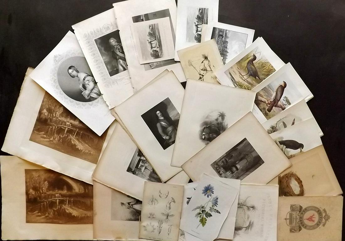 Mixed Prints 19th Cent. Lot of 35 Engravings & Lithos (1 of 4)