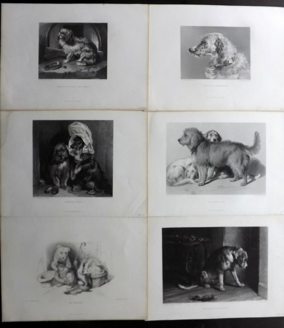 Landseer, Edwin 1880 Lot of 6 Folio Dog Prints (1 of 2)