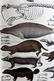 Oken, Lorenz 1843 Hand Col Print. Walrus, Wolverine - 2