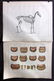 Miles, W. J. C1895 Lot of 5 Prints. Horse Anatomy, - 2
