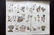 Oken, Lorenz 1843 Hand Colored Print. Corals, Sea Life