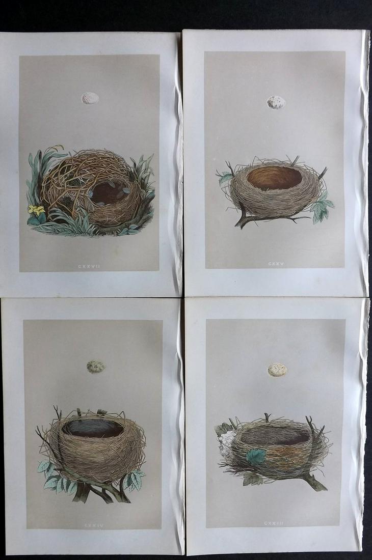 Morris, Francis 1875 Lot of 4 Bird Nest Prints: Woodblocks Published 1875, London for "A Natural History of the Nests and Eggs of British Birds" By the Rev. Francis Orpen Morris, printed Benjamin Fawcett. Most Plates printed in colours and finished