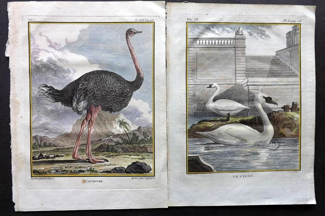 Buffon, Comte de C1770 Pair of HC First Ed. Bird Prints: Swans and Ostrich. Hand Colored Copper Plates Published 1770-85 by Imprimerie Royale, Paris "Histoire Naturelle des Oiseaux" First Edition by Georges-Louis Leclerc, Comte de Buffon. Paper Size: 10 x 8